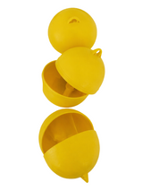 TRAPPOLA ECOLOGICA PER INSETTI (6 PZ)